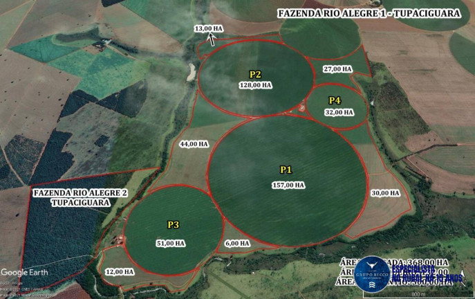 Fazenda à Venda, 770 m² em Andorinhas - Tupaciguara