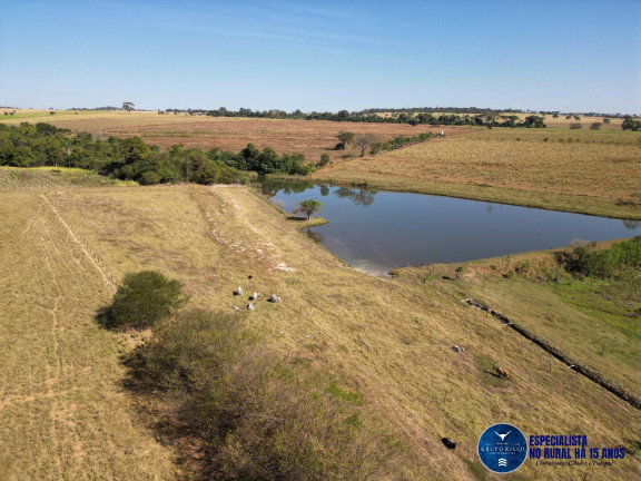 Imagem Chácara à Venda, 3 m² em Zona Rural - Avelinópolis Imagem Chácara à Venda, 3 m² em Zona Rural - Avelinópolis