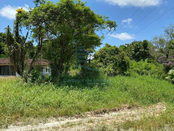Imagem Terreno à Venda, 150 m² em São Marcos - Joinville Imagem Terreno à Venda, 150 m² em São Marcos - Joinville
