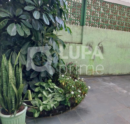 Imagem Casa com 3 Quartos à Venda, 180 m² em Tucuruvi - São Paulo Imagem Casa com 3 Quartos à Venda, 180 m² em Tucuruvi - São Paulo