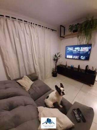 Imagem Apartamento com 2 Quartos à Venda, 55 m² em Vila Matilde - São Paulo Imagem Apartamento com 2 Quartos à Venda, 55 m² em Vila Matilde - São Paulo