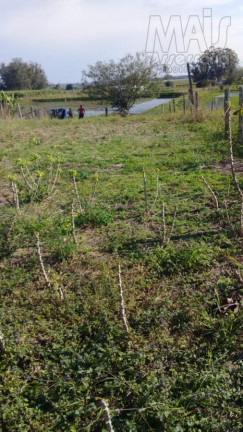 Imagem Terreno à Venda, em Vila Palmeira - Santo Antônio Da Patrulha Imagem Terreno à Venda, em Vila Palmeira - Santo Antônio Da Patrulha