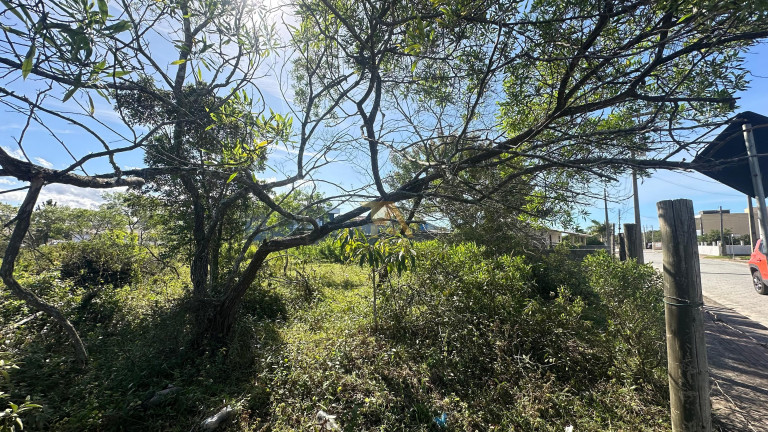Imagem Terreno à Venda, em Campo Duna - Garopaba Imagem Terreno à Venda, em Campo Duna - Garopaba