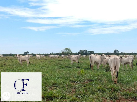 Imagem Fazenda à Venda, 3.097 m² em Rural - Chapadão Do Sul Imagem Fazenda à Venda, 3.097 m² em Rural - Chapadão Do Sul