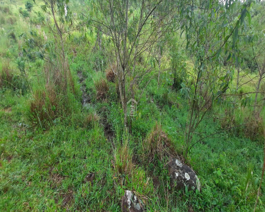 Imagem Imóvel à Venda, 6 m² em Cândido - Campestre