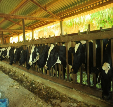 Imagem Imóvel à Venda, em Centro - Bocaina De Minas Imagem Imóvel à Venda, em Centro - Bocaina De Minas