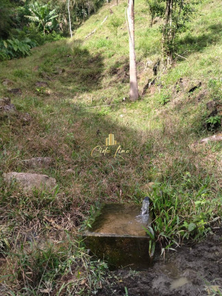 Imagem Chácara à Venda, 6.000.000 m² em São Pedro De Alcântara Imagem Chácara à Venda, 6.000.000 m² em São Pedro De Alcântara