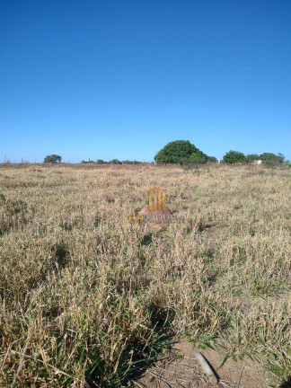 Imagem Imóvel à Venda, 2.000 m² em Centro - Hidrolândia Imagem Imóvel à Venda, 2.000 m² em Centro - Hidrolândia