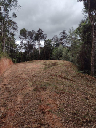 Imagem Imóvel à Venda, 33.000 m² em Itaqui De Cima - Campo Largo Imagem Imóvel à Venda, 33.000 m² em Itaqui De Cima - Campo Largo