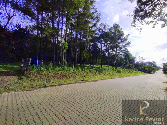 Imagem Terreno à Venda, 250 m² em Campestre - São Leopoldo Imagem Terreno à Venda, 250 m² em Campestre - São Leopoldo
