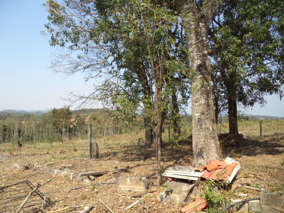 Imagem Chácara com 4 Quartos à Venda, 63.000 m² em Douradinho - Piedade