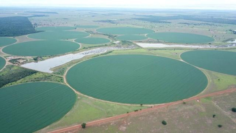 Imagem Fazenda à Venda, 3.000 m² em Zona Rural - Jussara Imagem Fazenda à Venda, 3.000 m² em Zona Rural - Jussara