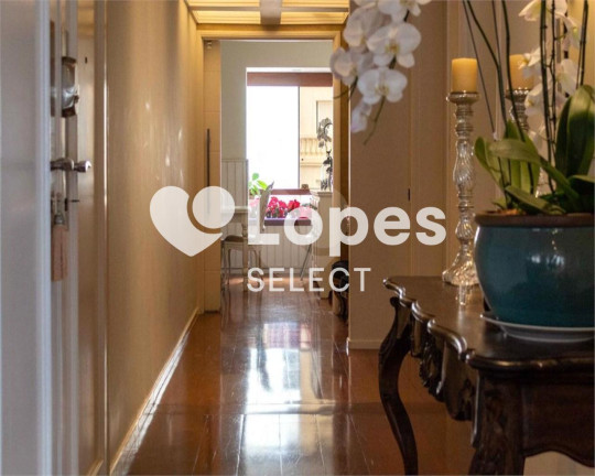 Imagem Apartamento com 6 Quartos à Venda, 450 m² em Cambuí - Campinas