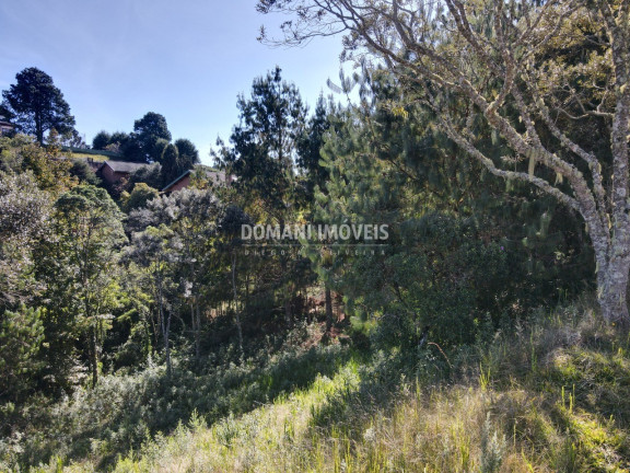 Imagem Terreno à Venda, 1.215 m² em Região Do Alto Da Boa Vista - Campos Do Jordão Imagem Terreno à Venda, 1.215 m² em Região Do Alto Da Boa Vista - Campos Do Jordão