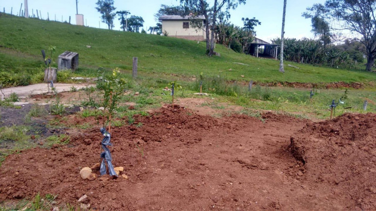 Imagem Imóvel com 3 Quartos à Venda, 88 m² em Não Informado - Santo Antônio Da Patrulha Imagem Imóvel com 3 Quartos à Venda, 88 m² em Não Informado - Santo Antônio Da Patrulha