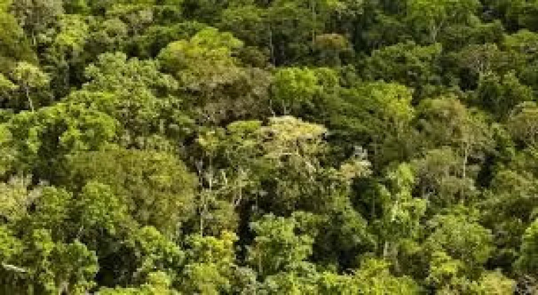 Fazenda à Venda, 522 m² em Zona Rural - Nova Maringá