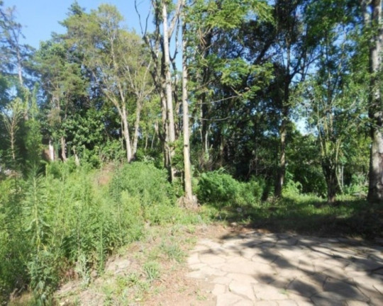 Terreno à Venda, 15.000 m² em Centro - Nova Petrópolis