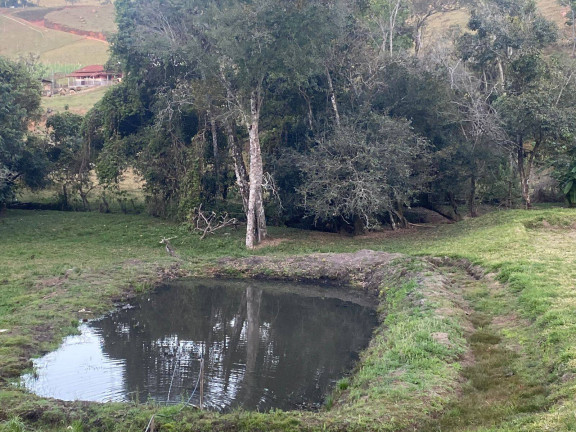 Imagem Casa com 3 Quartos à Venda, 3.500 m² em Ouro Fino