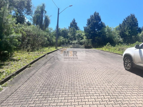 Imagem Terreno à Venda, 450 m² em Linha Imperial - Nova Petrópolis