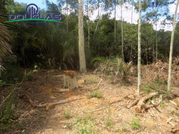 Imagem Imóvel Comercial à Venda, em Viamão Imagem Imóvel Comercial à Venda, em Viamão