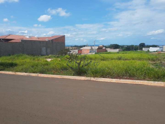 Imagem Terreno à Venda, 250 m² em Jardim Alto Das árvores - Pirassununga Imagem Terreno à Venda, 250 m² em Jardim Alto Das árvores - Pirassununga