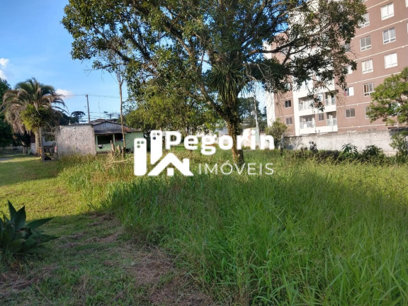 Imagem Terreno à Venda, 6.325 m² em Jardim Cláudia - Pinhais Imagem Terreno à Venda, 6.325 m² em Jardim Cláudia - Pinhais