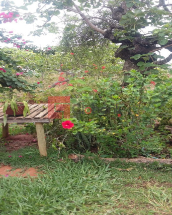Imagem Imóvel com 3 Quartos à Venda, 2.500 m² em Centro - Montes Claros