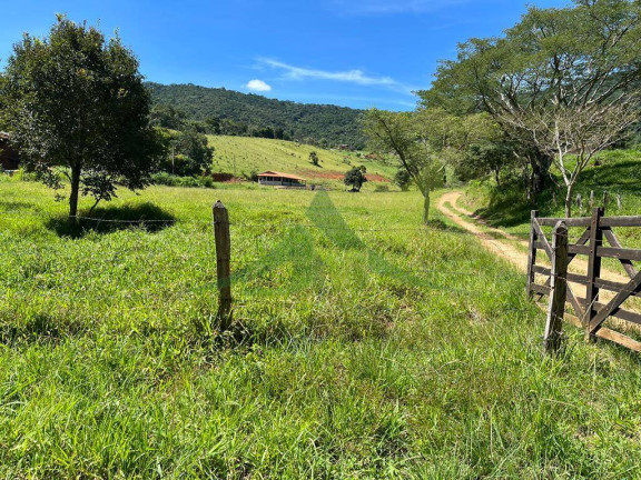 Imagem Chácara com 3 Quartos à Venda, 62.000 m² em Piracaia - Piracaia Imagem Chácara com 3 Quartos à Venda, 62.000 m² em Piracaia - Piracaia