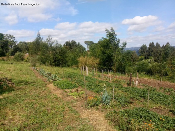 Imagem Terreno à Venda, 4 m² em Pinhal Alto - Nova Petrópolis