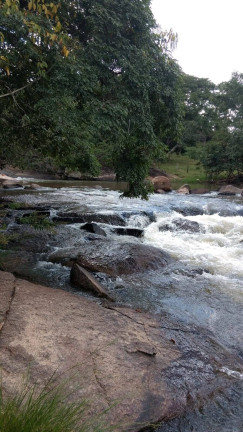 Imagem Fazenda à Venda, 18 m² em Zona Rural - Orizona Imagem Fazenda à Venda, 18 m² em Zona Rural - Orizona