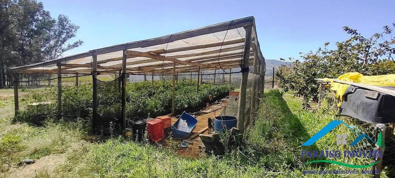 Imagem Chácara à Venda, 43 m² em Centro - Paraisópolis Imagem Chácara à Venda, 43 m² em Centro - Paraisópolis