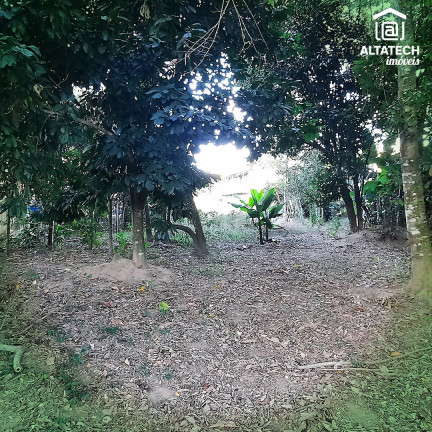 Imagem Imóvel com 2 Quartos à Venda, 1.100 m² em Rio Pardo - Bandeira Do Sul Imagem Imóvel com 2 Quartos à Venda, 1.100 m² em Rio Pardo - Bandeira Do Sul