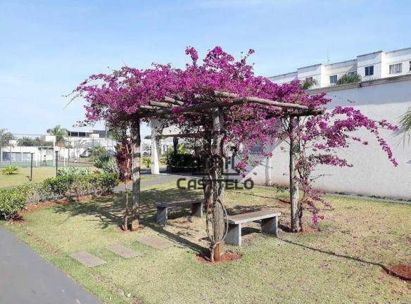 Imagem Apartamento com 2 Quartos à Venda, 51 m² em Jardim Nações Unidas - Londrina Imagem Apartamento com 2 Quartos à Venda, 51 m² em Jardim Nações Unidas - Londrina