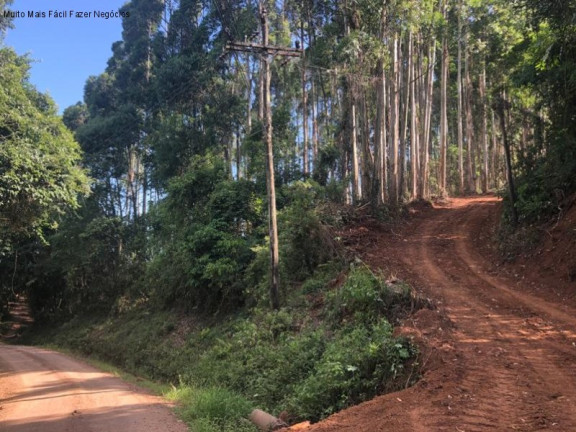 Imagem Terreno à Venda, 3 m² em Linha Olinda - Nova Petrópolis