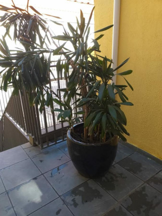 Imagem Casa com 2 Quartos à Venda, 120 m² em Parque Cruzeiro Do Sul   - São Paulo