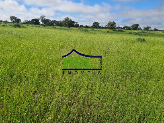 Imagem Fazenda à Venda, 110 m² em Cocalinho Imagem Fazenda à Venda, 110 m² em Cocalinho