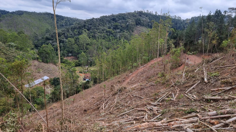 Imóvel à Venda, 44.000 m² em Alto Nova Almeida - Marechal Floriano