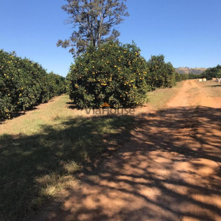 Fazenda à Venda, 107 m² em Zona Rural - Patrocínio Paulista