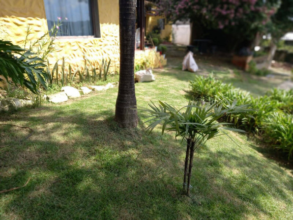 Imagem Casa com 4 Quartos à Venda, 750 m² em Jardim Marilu - Carapicuíba