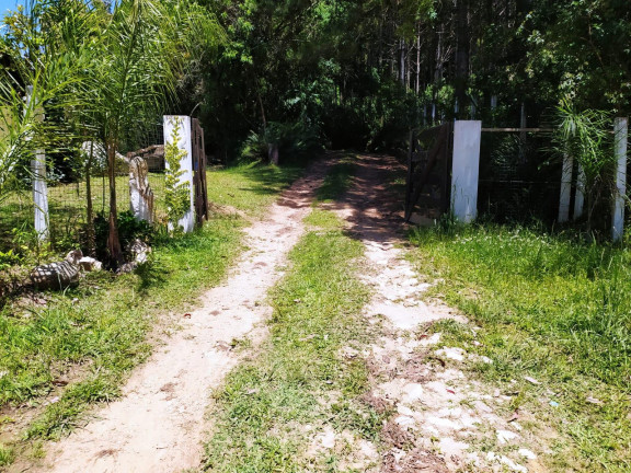 Imagem Imóvel com 3 Quartos à Venda, 27.000 m² em Centro - Contenda