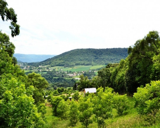 Imagem Imóvel à Venda, em Linha Imperial - Nova Petrópolis Imagem Imóvel à Venda, em Linha Imperial - Nova Petrópolis