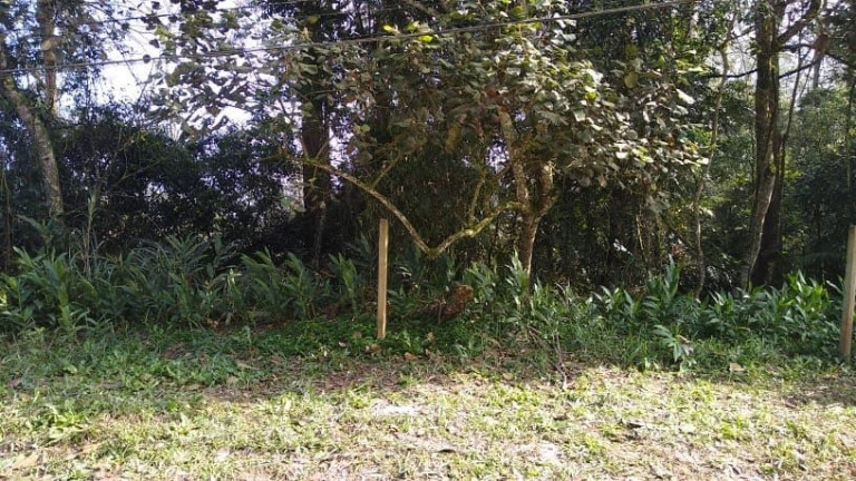 Imagem Terreno à Venda, 450 m² em Santa Luzia - Ribeirão Pires Imagem Terreno à Venda, 450 m² em Santa Luzia - Ribeirão Pires