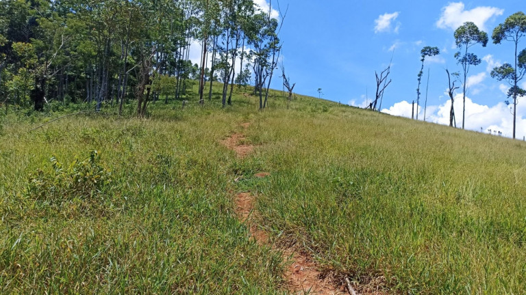 Imagem Chácara à Venda, 200 m² em Centro - Paraibuna Imagem Chácara à Venda, 200 m² em Centro - Paraibuna