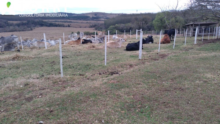 Imagem Imóvel com 1 Quarto à Venda, 1.137.400 m² em Centro - Paranapanema