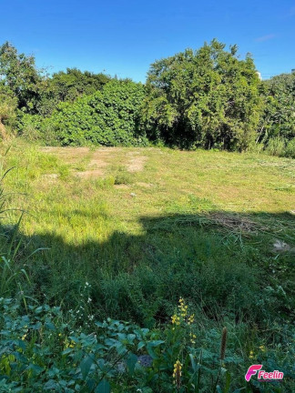 Imagem Terreno à Venda, 1.270 m² em Estreito - Florianópolis