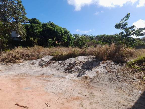Imagem Terreno à Venda, em Centro - Tibau Do Sul Imagem Terreno à Venda, em Centro - Tibau Do Sul