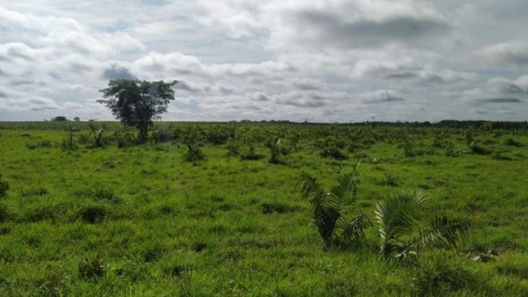 Imóvel à Venda,  em Natividade/to - Natividade
