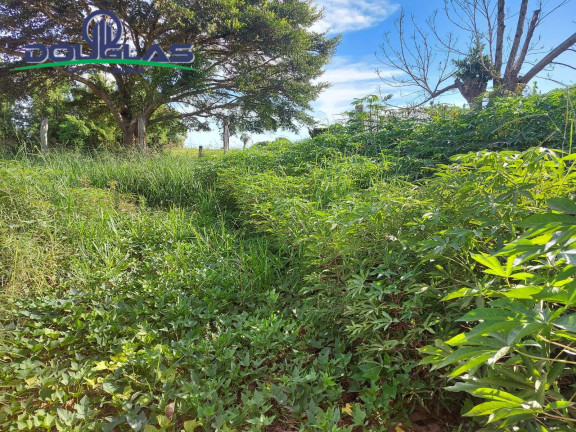 Imagem Terreno à Venda, 450 m² em águas Claras - Viamão Imagem Terreno à Venda, 450 m² em águas Claras - Viamão
