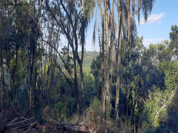 Imagem Terreno à Venda, 13.823 m² em Linha Olinda - Nova Petrópolis Imagem Terreno à Venda, 13.823 m² em Linha Olinda - Nova Petrópolis