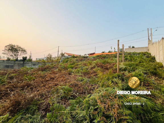 Imagem Chácara com 3 Quartos à Venda, 116 m² em Terra Preta - Mairiporã Imagem Chácara com 3 Quartos à Venda, 116 m² em Terra Preta - Mairiporã